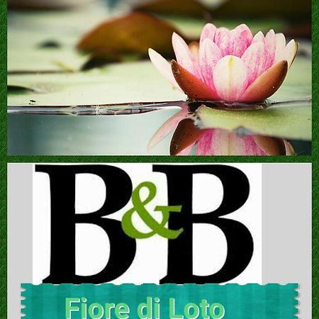 Fiore Di Loto Лиматола Экстерьер фото